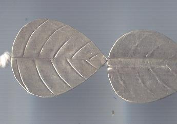 Thai Karen Hill Tribe Silver Beads BL804 (3 Beads)