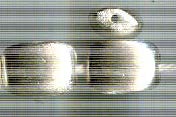Thai Karen Hill Tribe Silver Beads BL837 (4 Beads)