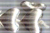 Thai Karen Hill Tribe Silver Beads BL838 (4 Beads)