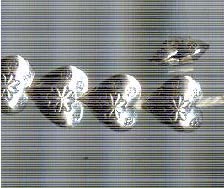 Thai Karen Hill Tribe Silver Beads BL861 (5 Beads)