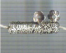 THAI KAREN HILL TRIBE SILVER BEADS BL881 (30 BEADS)